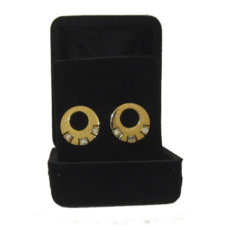 Stainless Steel wholesale Earring with Cz Yellow Gold Boxed