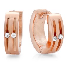 Rose Gold Stainless Steel Earrings