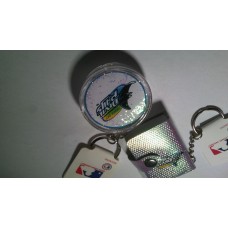 TAMPA BAY DEVIL RAYS Baseball Team Key Chains